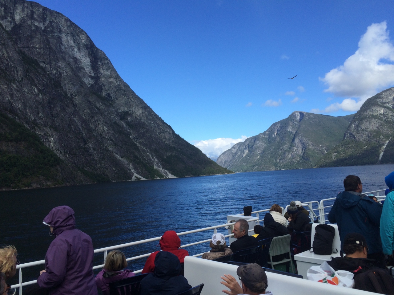 How to Explore Naeroyfjord and Sognefjord?