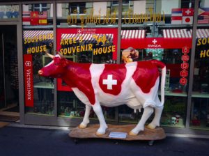 The Great Swiss Cows in Switzerland