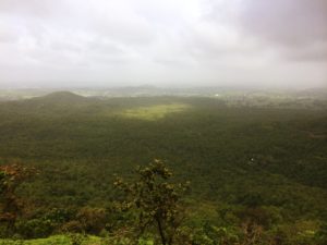Janapav Kuti Forests