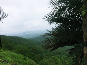 Janapav Kuti View