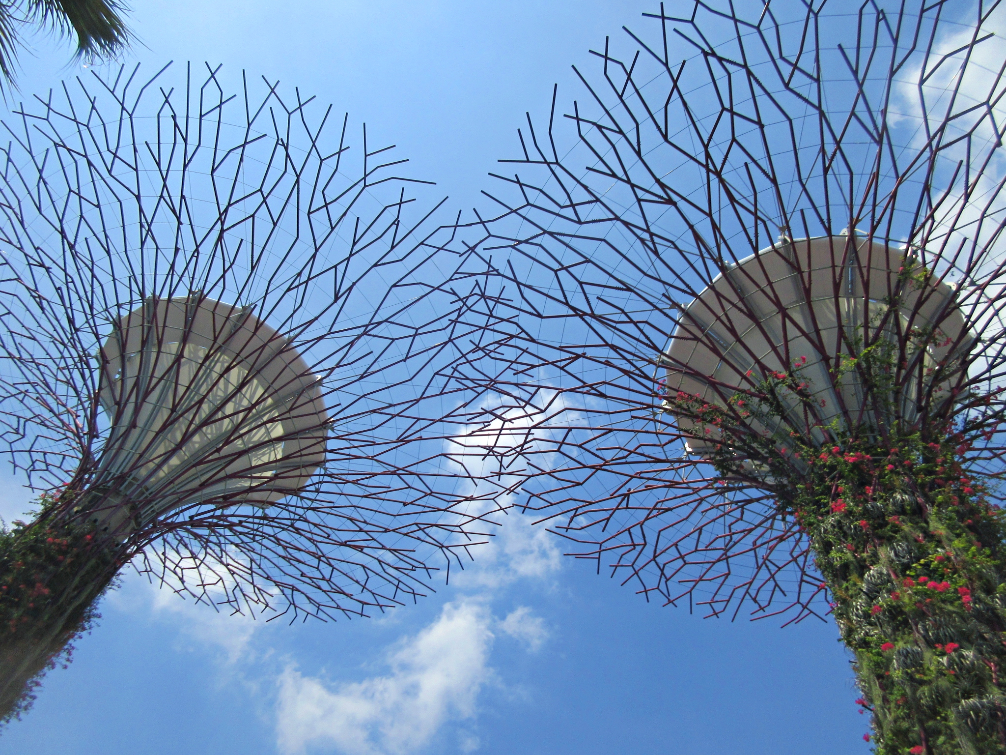 Gardens By The Bay: Solar-powered Super Trees in Singapore