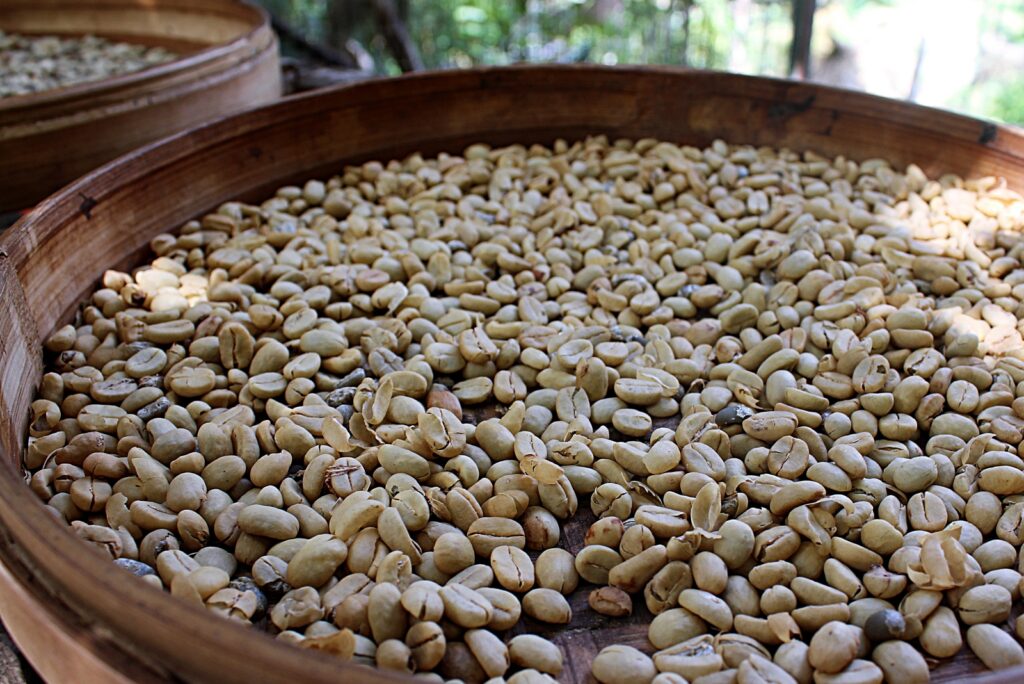 Luwak Coffee Beans Alas Harum