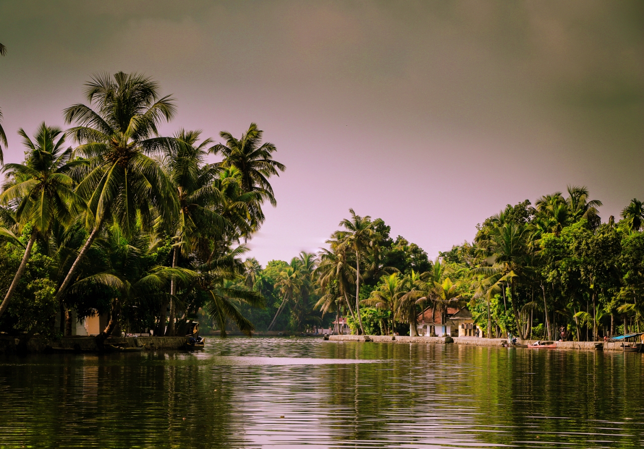 Kerala to Open Tourism in October