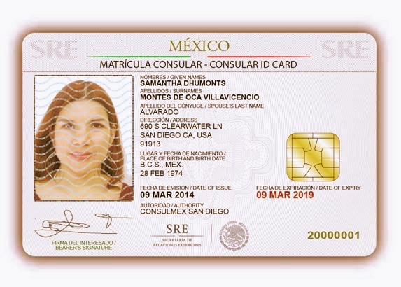 Mexican Driver's License