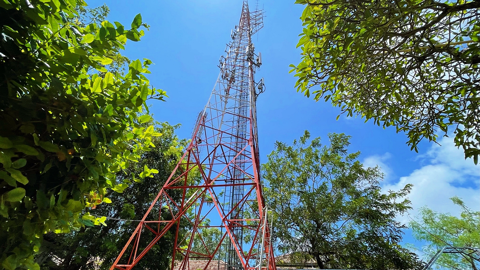 SLBC Tower