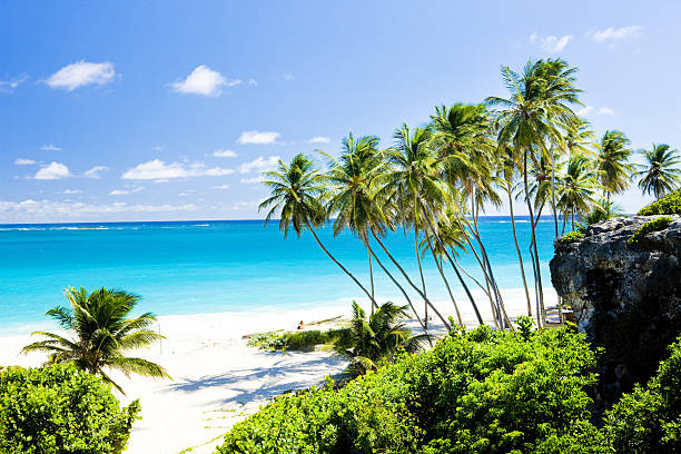 Discover the Magic of Barbados on Your Next Vacation