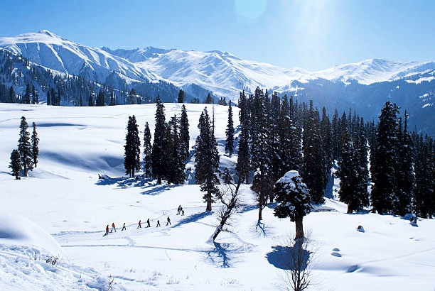 Explore Gulmarg: The Best Things to Do in Kashmir