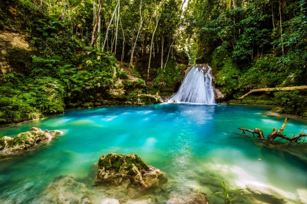 Discover the Magic of Jamaica: A Traveler’s Guide
