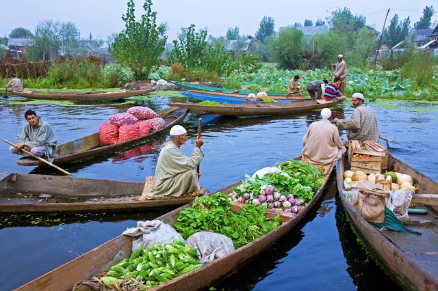 Kashmir Floating Market