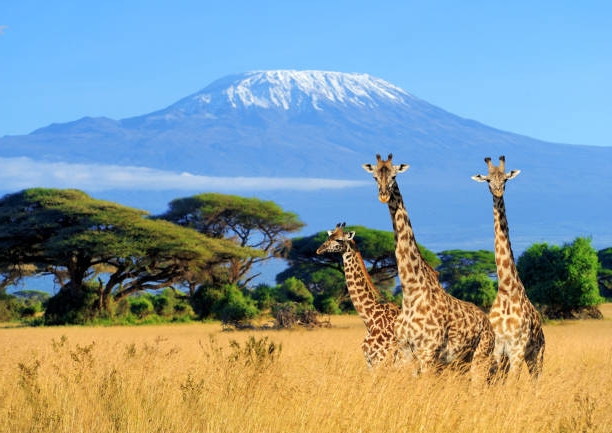 The 10 Best Cities To Visit in Kenya