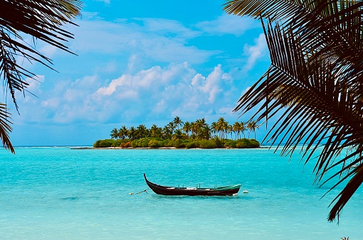 What to Know Before You Go: A Comprehensive Guide to Lakshadweep