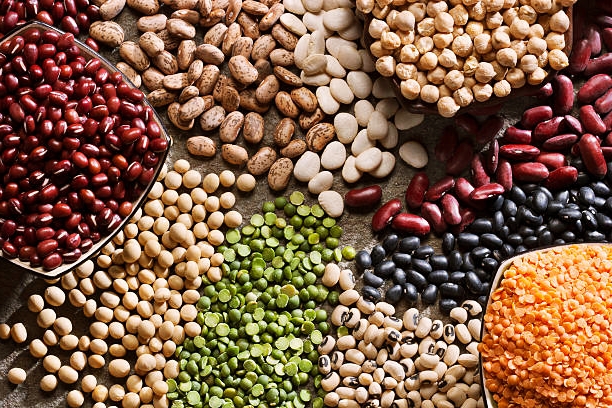 Get Your Protein Fix: The 5 Best Protein Sources for Vegetarians