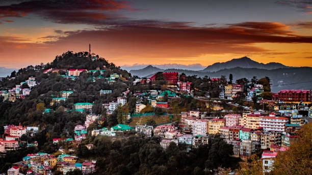 Make the Most of Your Trip to Shimla: Comprehensive Guide