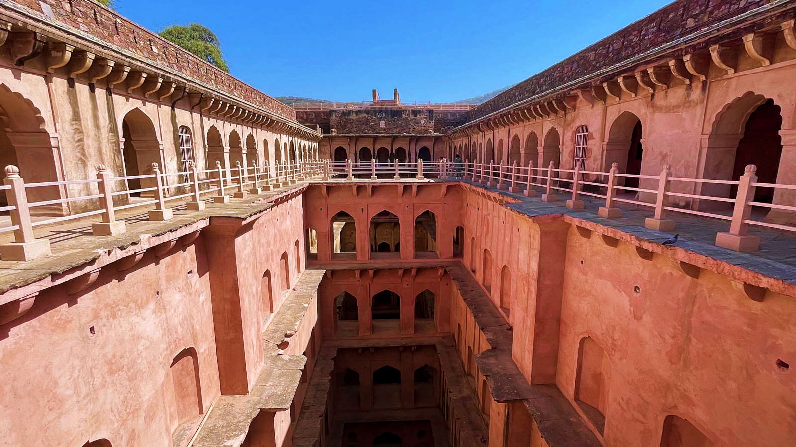 neemrana baldy