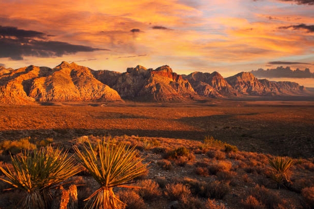 The 10 Best Things To Do in Nevada