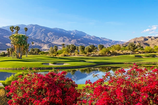 The 10 Best Things To Do in Palm Springs