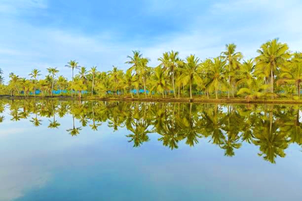 10 Best Things To Do in Kollam Islands