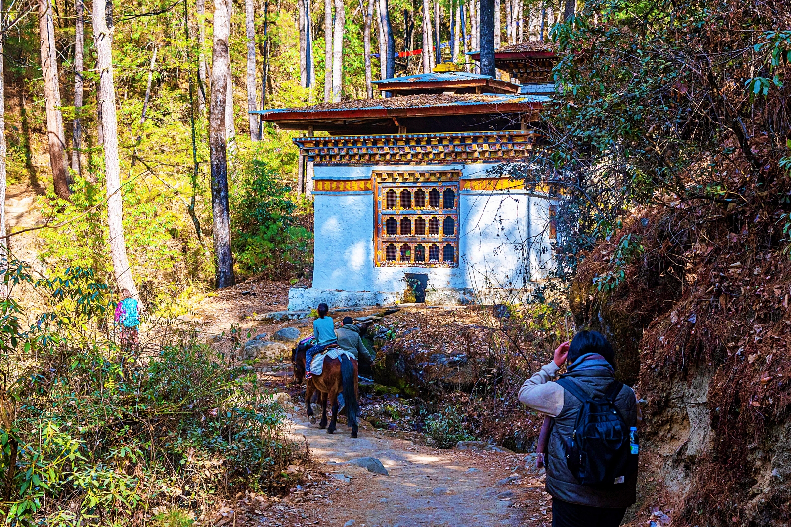 Paro Taktshang Trail