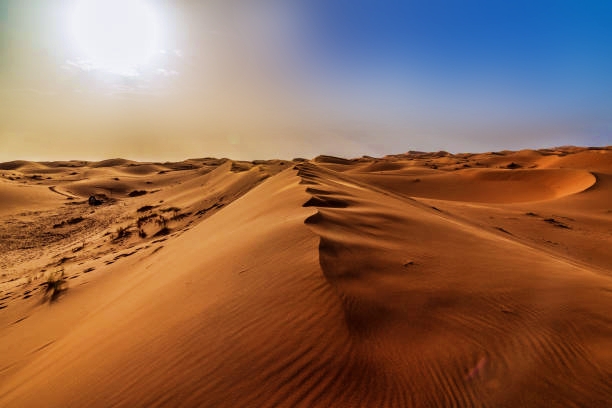 10 Best Things To Do in Western Sahara