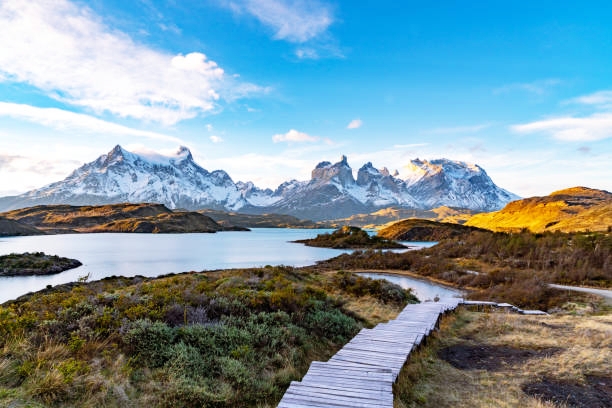Chile’s Cosmos National Park: A Mesmerising Experience
