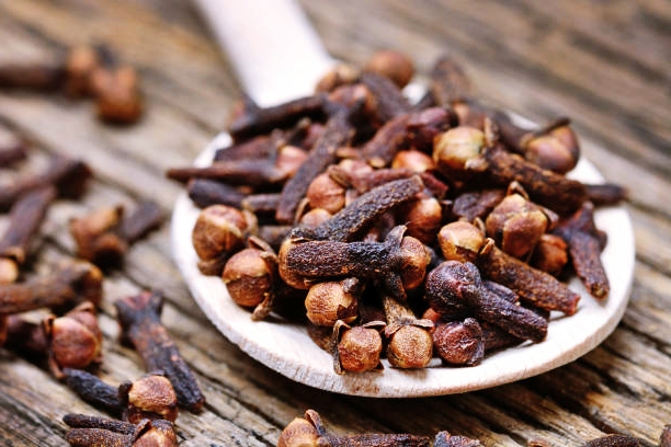 What is Cloves and How to use it?