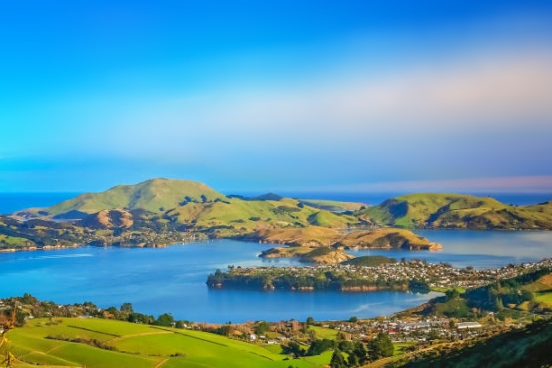 Best Things To Do in Dunedin, New Zealand