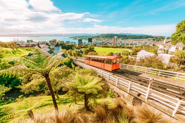 Best Things To Do in Wellington, New Zealand