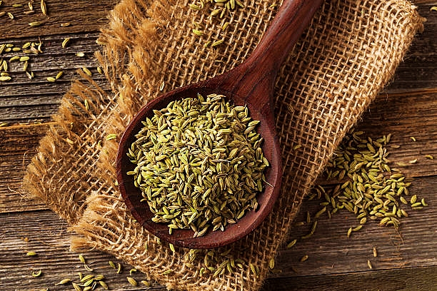What is Fennel and how to use it?