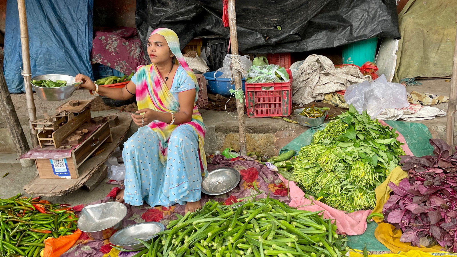 Jaipur vegetable mandi