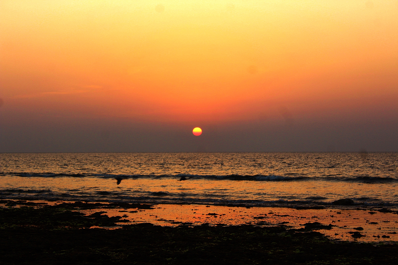 Reef Resort Shivrajpur Sunset